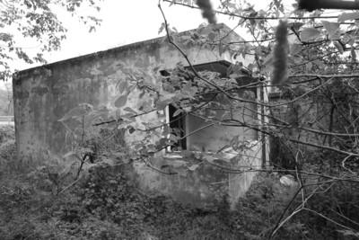 ������ʧɢ24���Ұ�˸硱׷�٣��ھӳ���Ӳ�����