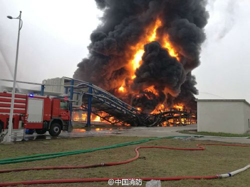 ����̩��Σ��Ʒ�ִ��������ڳ����Ϻ�������Ԯ