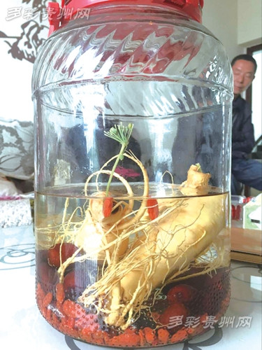 ���ھƹ�������˲η�ѿ����ר�ҳƺ�����ͼ��