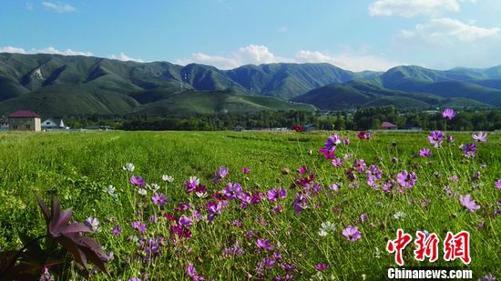 ̽�ù�����˹̹������ġ����񡱲�ũ����ͼ��