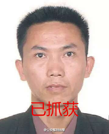 公安部A级通缉令十大盗抢骗犯罪在逃人员一人归案