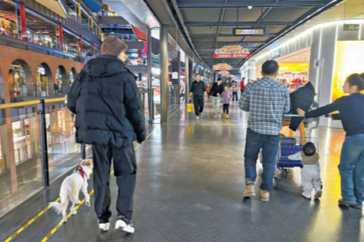 允许顾客携宠进入商场引争议 记者探访