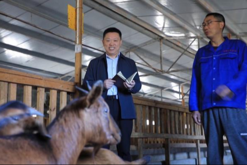 四川“领头羊”与贵州“猪倌”两会取经记