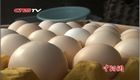 �������� ����ԭ�ض������¶��ַ���