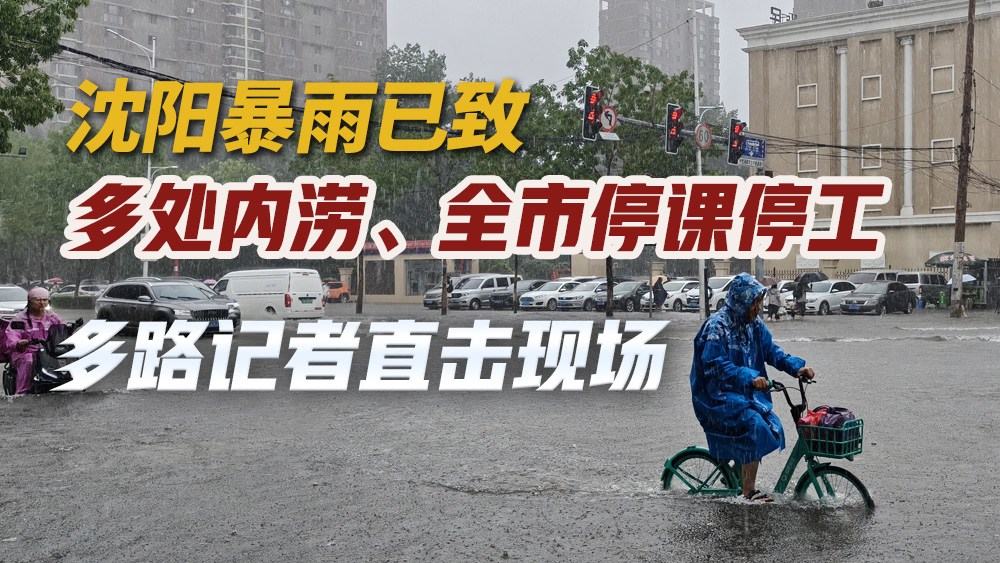 沈阳暴雨已致多处内涝、全市停课停工 多路记者直击现场 