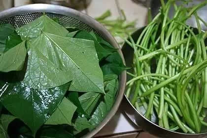 һ�﷬��Ҷ��ʮ���˲Σ�