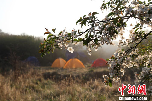 ������ũ�ܷ��ֽ���Ķ����Ⱥ�䣨2��