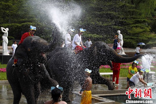 �������繫԰���������˹�����ˮ�ڣ�3��