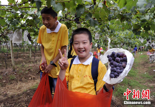 ���Ừ�������긣���Ļ�Ѱ����4��