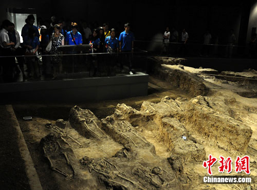 ̨��������ι��Ͼ�����ɱ����ͬ�������