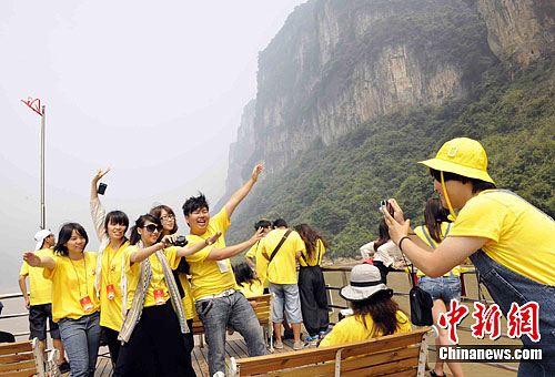 ̨������������ӪӪԱ�ι���Ͽ�������4��