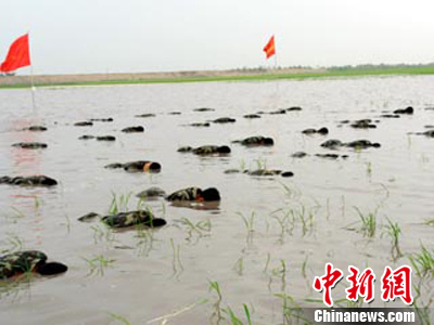 �����侯��չʵս��Ұ�⼫���ۺ�������4��