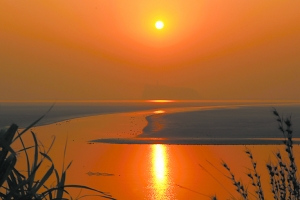 �й�����Ľ�󡱷��ִ��������໨�ɣ�3��