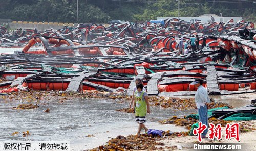 ̨�硰÷����Ӱ�캫��