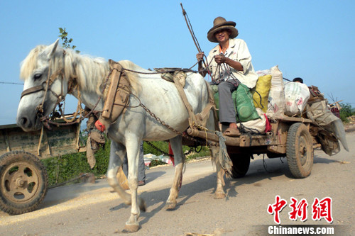 【点击查看其它图片】8月25日,一名移民利用传统马车运送自家搬迁的