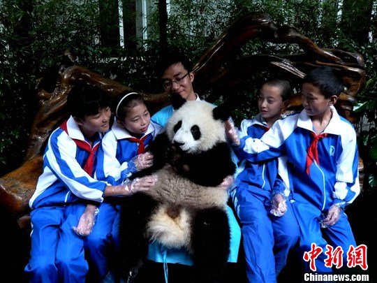 �Ĵ�һѧУʦ��Ϊ��è�����ˡ�����