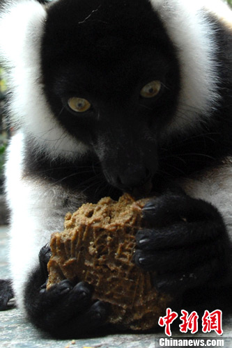 �����������±�