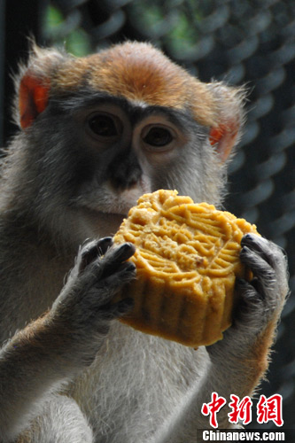 �����������±���2��