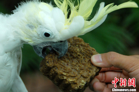 �����������±���3��