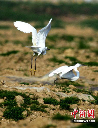 ۶�����ĺ�����Ǩ���������3��