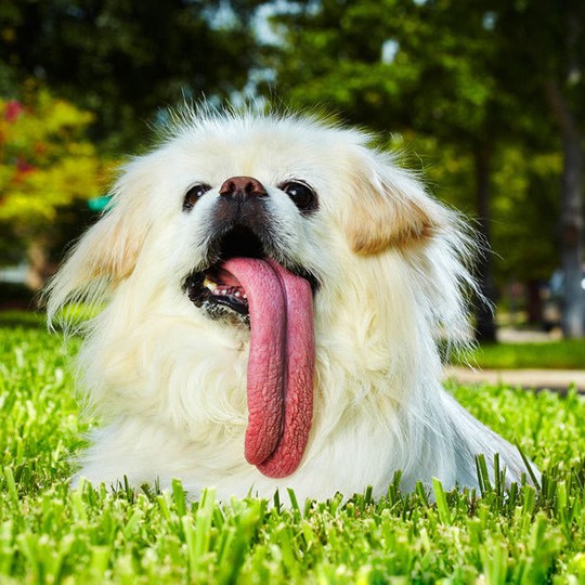 2012�漪��˹�����¼��¯ǧ��ٹ֣�17��