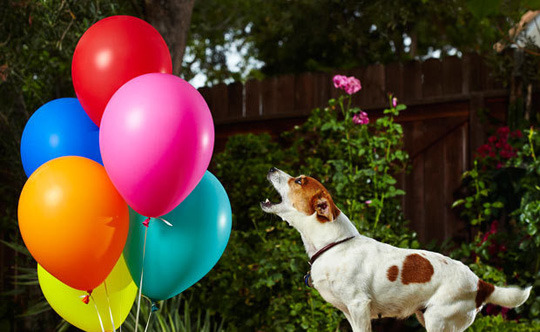 2012�漪��˹�����¼��¯ǧ��ٹ֣�26��