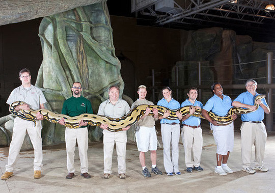 2012�漪��˹�����¼��¯ǧ��ٹ֣�28��