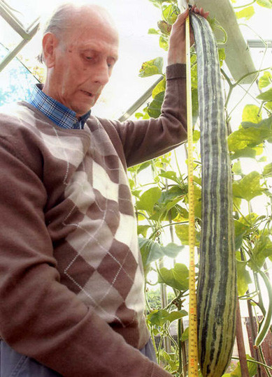 2012�漪��˹�����¼��¯ǧ��ٹ֣�29��