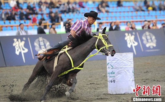 2011�й����������ݡ����﹫����ժ��Ͱ��˫��