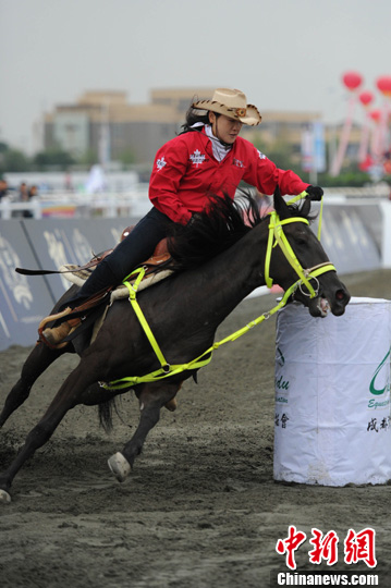 2011�й����������ݡ����﹫����ժ��Ͱ��˫�ڣ�2��