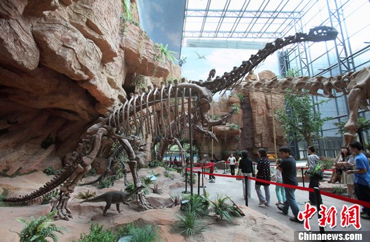 ȫ�������ջ½��չ���������ݿ�ѧ������2��