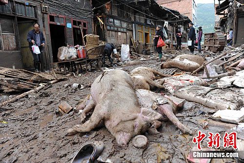 四川洪灾区民众损失惨重