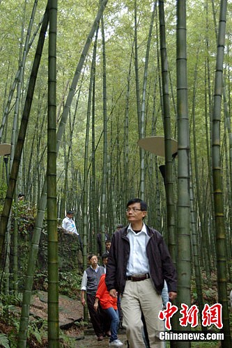 ��ý����̽��ʮ��������⾰�ز�ɽ�񺣣�3��