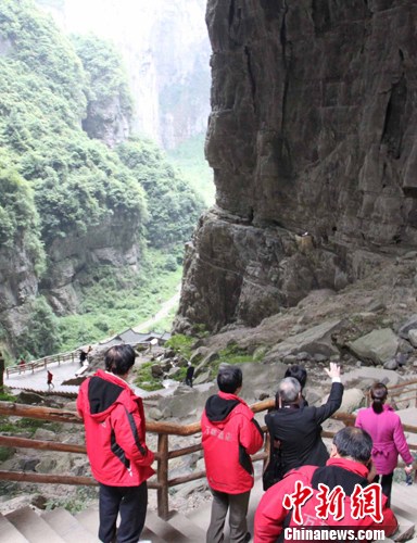 ����ý�����ܲι�������Ȼ�Ų���¡�������~��2��