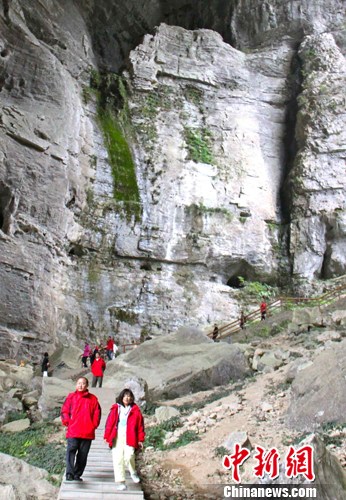 ����ý�����ܲι�������Ȼ�Ų���¡�������~��3��