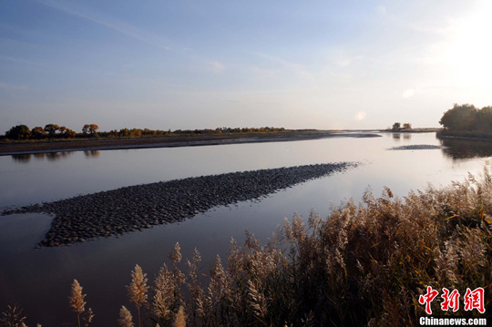 ���纽�����ˮ���ϵ�Ϧ������