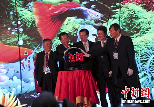 2011��̨����ʹ����㲩����̨����Ļ