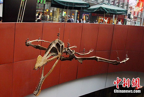 ����Ψһ������ʯ��ģ�����౱����ͷ