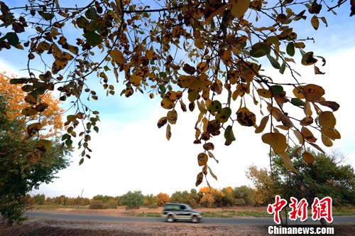 ��ɫ����չ���½�����������5��