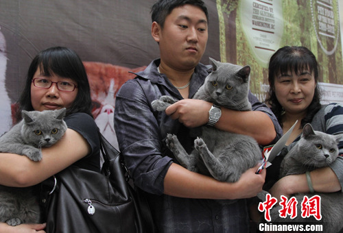 �ذ�С����������èչ�����人