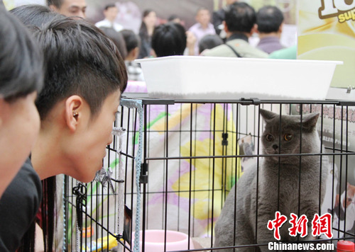 �ذ�С����������èչ�����人