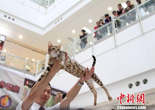 �ذ�С����������èչ�����人��2��