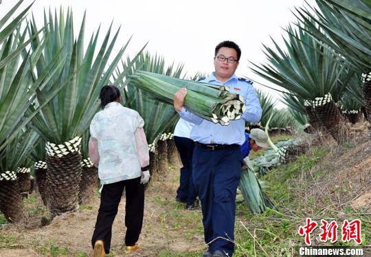 �����㽣�顱�������ֱ�ũ��������