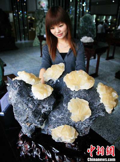 ��ǧ��Ȼ��ʯ������Ͽ���ʯ�ݣ�5��