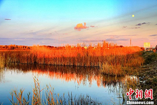 �½�ʪ�ر�������ΪǨ�������Ϣ����԰��2��
