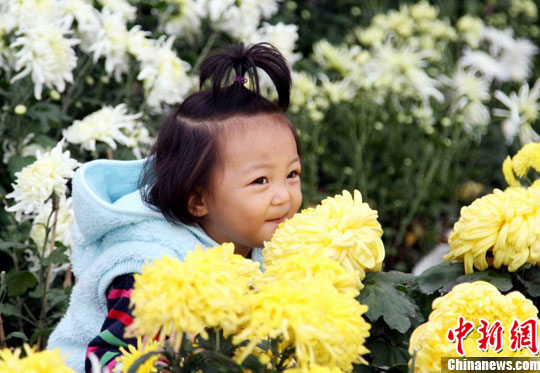 ���������;�ʱ30����ջ��ϲ����ޣ�7��