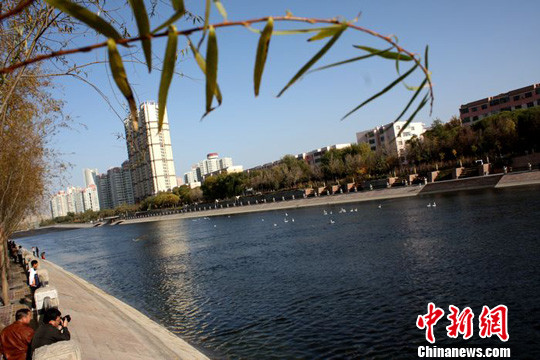 �½�����տ�ȸ�ӹ������ɫ����������פ�㣨2��