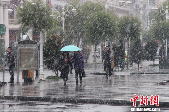 ������Ҵӭ�������붬��ĵ�һ��ѩ��3��