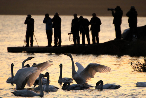 ɽ��ƽ½�ƺ�ʪ��ӭ���������Խ����4��