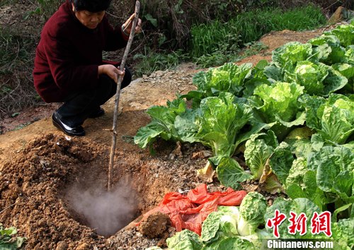 �人һ�˵ص���ð���������켦��